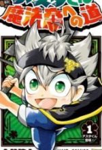 Asta's Journey To Wizard King
