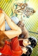 City Hunter
