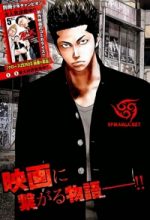 Crows Explode