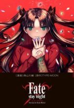 Fate/Stay Night: Unlimited Blade Works