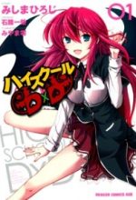 High School DXD