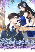Khi Định Mệnh Của Tôi Chính Là Nhân Vật Nam Phụ