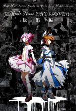 Mahou Shoujo Lyrical Nanoha x Madoka (Crossover)