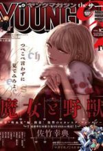 Majo To Yajuu