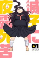 Metsuko ni Yoroshiku