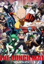 Onepunch Man