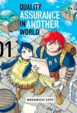 Quality Assurance in Another World