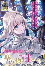 Seijo-sama wo Amayakashitai! Tadashi Yuusha, Omae wa Dame da