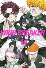 Wind Breaker