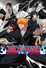 Bleach (Full Color)