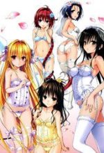 Bọn tớ thích cậu! Rito 2 - Venus