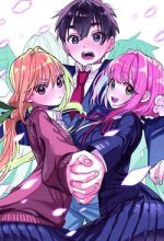 Kimi No Koto Ga Dai Dai Dai Dai Daisuki Na 100-ri No Kanojo