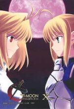 Type-Moon Complex X
